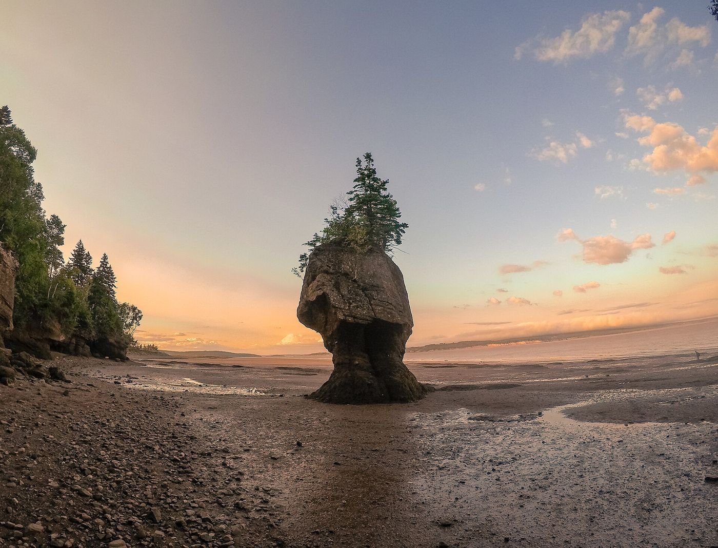Rocher en forme de pot de fleurs à marée basse, Hopewell Rocks