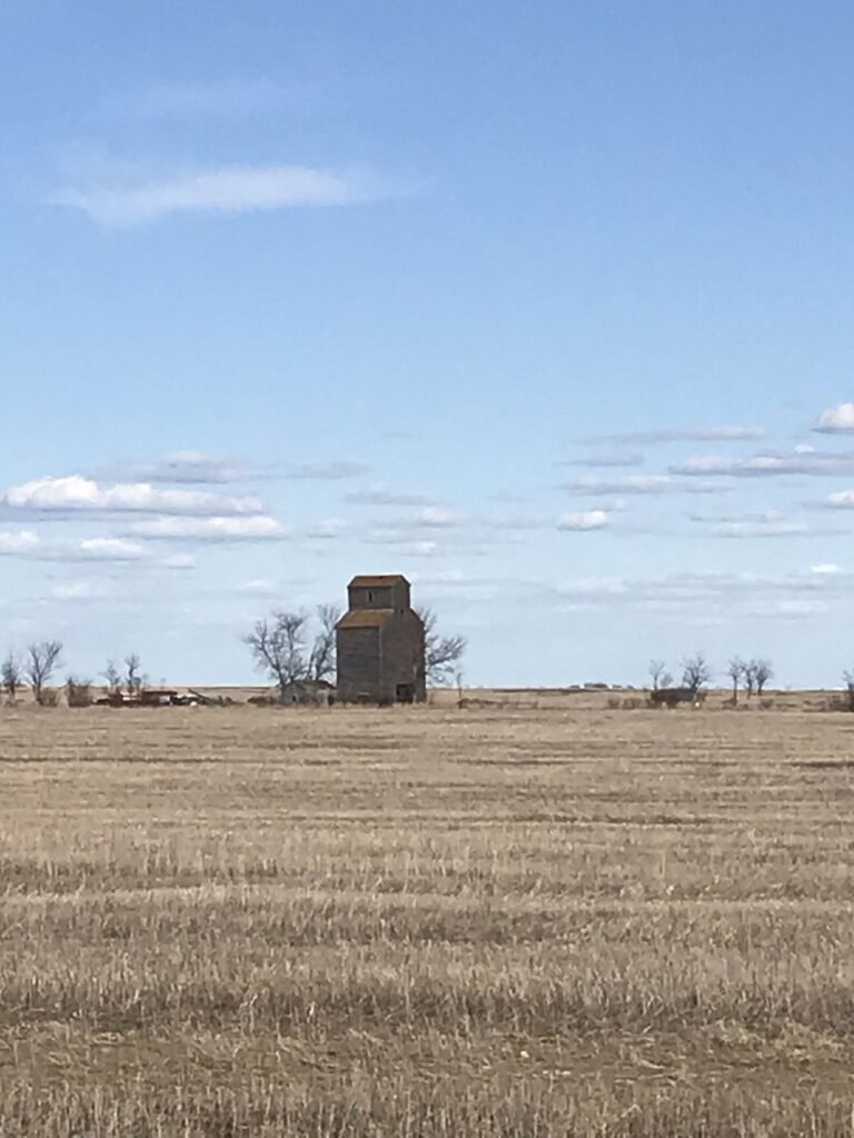 Silo à grains isolé au milieu d'un champ de la Saskatchewan
