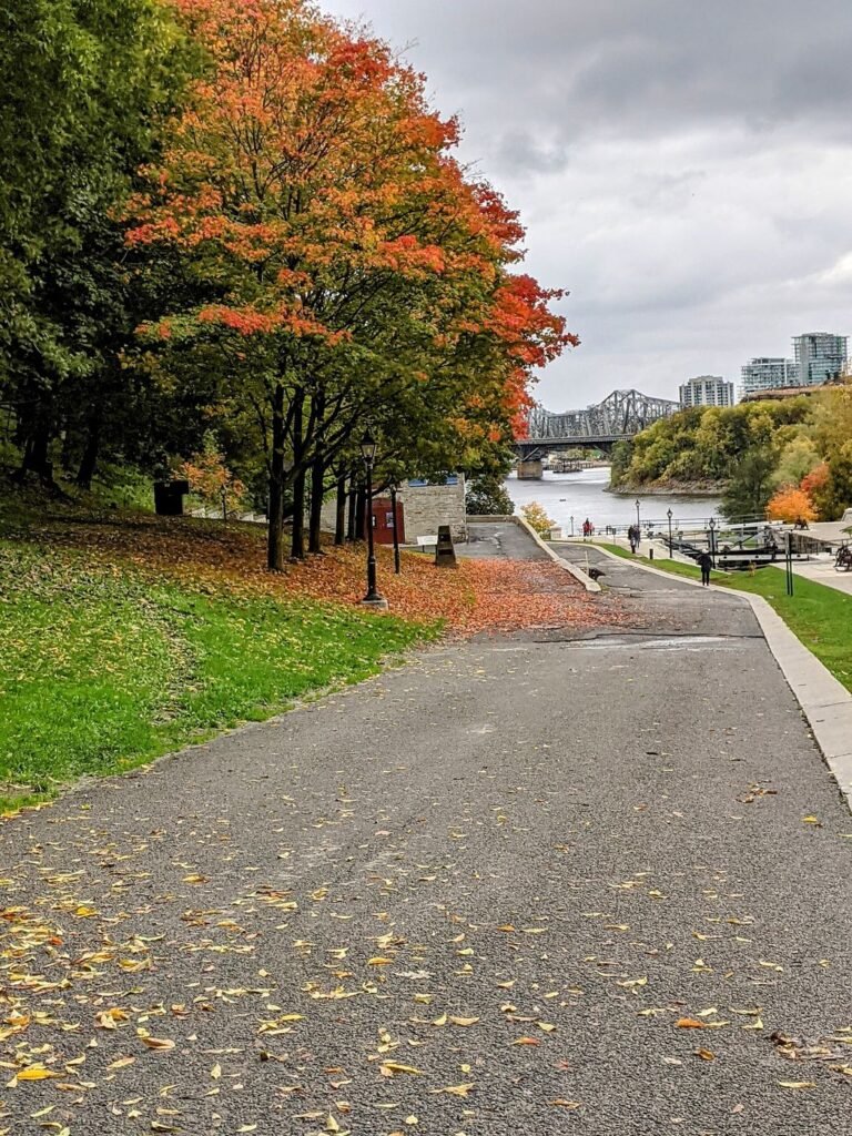 Érables rouges le long du canal Rideau, à Ottawa